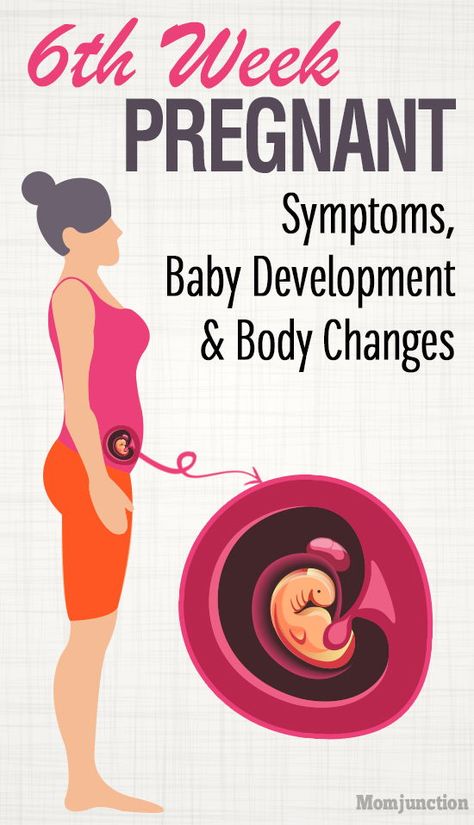 6th Week Pregnant: Symptoms, Baby Development And Body Changes #pregnancy #pregnant 5 Weeks Pregnant Ultrasound, 6 Weeks Pregnant Symptoms, Five Weeks Pregnant, Pregnancy Development, Pregnant Symptoms, Stages Of Baby Development, 6 Weeks Pregnant, 5 Weeks Pregnant, Baby Development Activities