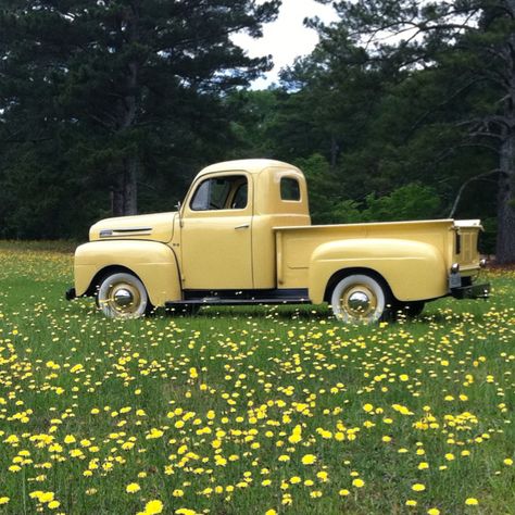 1948 Ford F1. I love these old trucks. So simple and pure  round and smooth and heavy metal ...                                                                                                                                                                                 More 1948 Ford Pickup, Lamborghini Aventador J, Yellow Truck, Old Vintage Cars, Vintage Pickup Trucks, Auto Retro, Old Pickup, Old Pickup Trucks, Classic Pickup Trucks