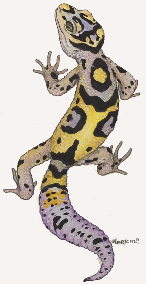 Gecko Cartoon, Cartoon Lizard, Gecko Tattoo, Gallery Tattoo, Cartoon Crazy, Cute Reptiles, Leopard Gecko, Animal Sketches, Reptiles And Amphibians