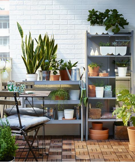 Find outdoor space you never thought you had with HINDO outdoor storage family. Durable enough to handle even the rainiest summer, HINDO lets you store anything from flower pots to gardening tools while keeping your outdoors looking beautiful. Small Decks, Ikea Garden, Balcon Mic, Diy Small Apartment, Ikea Plants, Ikea Outdoor, Apartment Balcony Garden, Tiny Balcony, Apartment Patio