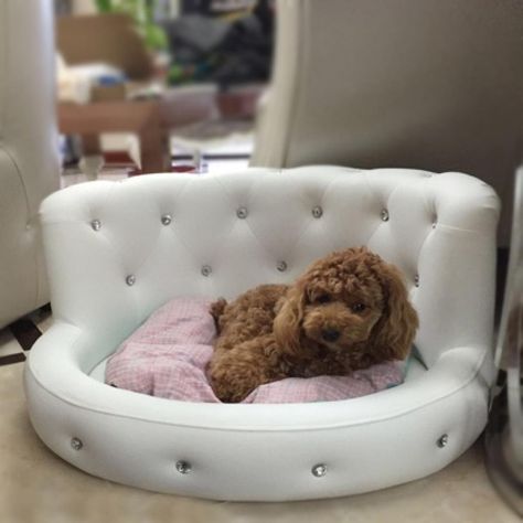 Dog Bedroom, Cute Dog Beds, Puppy Room, Puppy Kennel, Sofa Luxury, Diy Dog Bed, Dog Sofa Bed, Princess Dog, Dog Bed Furniture