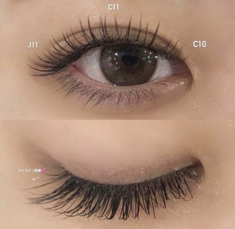 Asian Classic Lash Extensions, Eyelash Extension Asian Eyes, Natural Asian Eyelash Extensions, Lash Extentions Asian Eyes, Natural Asian Lash Extensions, Chinese Lash Extensions, Natural Lash Extensions Asian Eyes, Babydoll Lash Extensions, Eyelash Extensions Asian