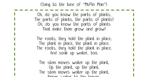 Parts of plant song.pdf Plant Song, Muffin Man, Big Plants, Parts Of A Plant, All About Plants, House Plant, Kids Songs, Small Plants, Lesson Plan