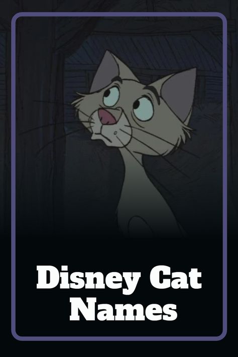 Looking for a Disney name for your new feline friend? Check out our list of cat names, inspired by Disney cats! Disney Cats Names, Name For Cats, Male Cat Names Unique, Disney Pet Names, Disney Cat Names, Cat Names List, Disney Cat Characters, List Of Cat Names, Male Disney Characters