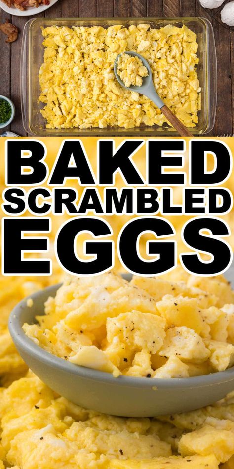 Oven baked scrambled eggs give you fluffy scrambled eggs every time. Simple prep, and easy cooking this oven baked scrambled eggs recipe is perfect for making breakfast or brunch for a crowd. Crockpot Scrambled Eggs, Baked Scrambled Eggs, Scrambled Egg Bake, Oven Scrambled Eggs, Brunch For A Crowd, Microwave Scrambled Eggs, Breakfast Finger Foods, Easy Egg Bake, Easy Scrambled Eggs