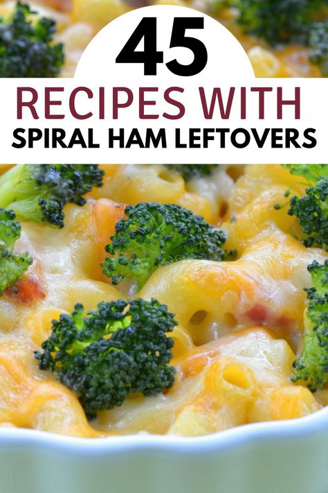 Wondering what to do with leftover spiral ham? Dive into our leftover ham recipes! From cozy casseroles to flavorful soups, we've got the perfect solutions to make your ham leftovers the star of your next family dinner. Soup Recipes With Leftover Ham, Recipes That Use Leftover Ham, Recipes With Spiral Ham Leftovers, Recipe Leftover Ham, Leftover Ham Roast Recipes, What To Make With Leftover Spiral Ham, Using Ham Leftovers, Recipes For Leftover Spiral Ham, Using Leftover Ham Recipes