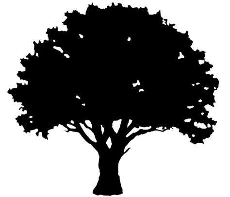 Oak Tree Silhouette Tattoo, Oak Tree Logo Design, Oak Tree Silhouette, Tree Silhouette Tattoo, Black Oak Tree, Pine Tattoo, Oak Tree Tattoo, White Oak Tree, Tree Outline