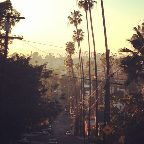 Silverlake, Los Angeles / California Dreaming | Fitzroy Boutique Rio De Janeiro, Silverlake Los Angeles, Street Aesthetic, Cali Life, Sweet Summertime, California Love, City Of Angels, California Dreamin', California Dreaming