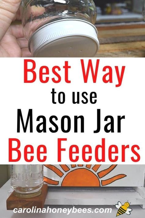 Learn how to make a mason jar bee feeder and how to use them properly.  Feeding bees in the wrong way can cause big problems for your colony.  #carolinahoneybees #masonjarbeefeeder #feedingbees Water For Bees, Backyard Beehive, Bee Hives Diy, Honey Bee Garden, Bee Feeder, Feeding Bees, Bee Food, Beekeeping For Beginners, Raising Bees