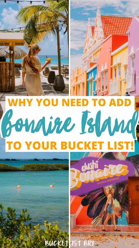 Caribbean Vacation, Bonaire Island, Things To Do In Bonaire On A Cruise, Bonaire Cruise Port, Aruba Vacation Outfits, Bonaire Things To Do, Aruba Bonaire Curacao, Travel Barbados, Best Beaches In Barbados