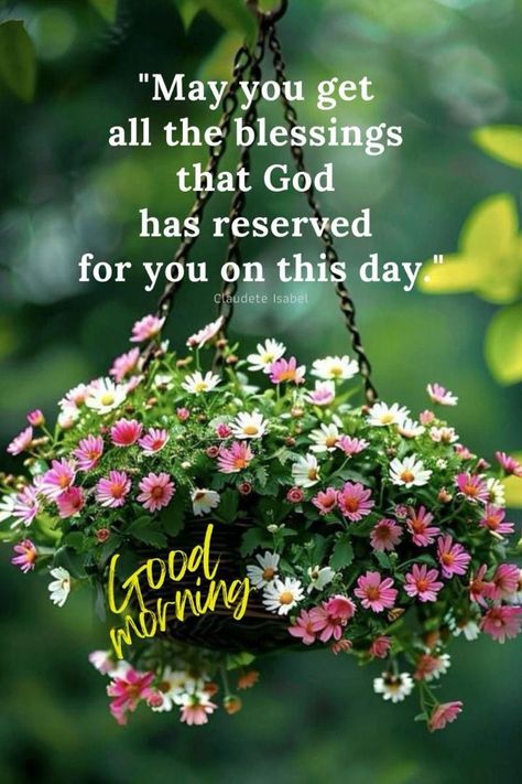 Blessed Morning Wishes, Have A Blessed Day Quotes Inspirational, Good Bless You, Good Morning Have A Blessed Sunday, Have A Blessed Day Inspiration, Wishing You A Beautiful Day, Good Morning Prayers And Blessings, Good Morning God Bless You, Good Morning Blessings Prayer