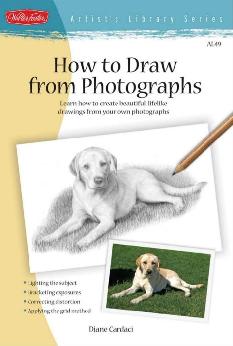 How to draw from photographs Fine Art Painting Techniques, Contemporary Sculpture Art, Dog Drawing Tutorial, Drawing Dogs, Dog Portraits Painting, Portraits Painting, Art Painting Techniques, Pencil Portraits, How To Make Drawing