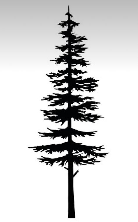 Spruce Tree Silhouette, Simple Tree Silhouette, Pine Tree Outline Tattoo, Tree Line Tattoo Stencil, Forest Tree Silhouette, Tree Silloutes Tattoo, Tree Sihoullete, Simple Tree Design, Pine Tree Silhouette Tattoo