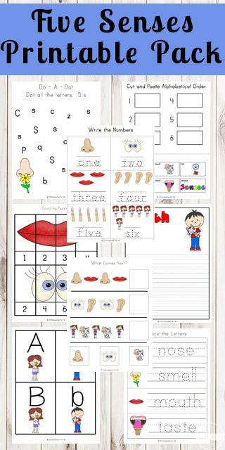 FREE Five Senses Printable Pack - help kids learn about the 5 senses with these free printable worksheets that teach kids about smell, taste, touch, hear, and seeing while practicing alphabet letters, counting, what comes next, key word, alphabetical order, and so much more #5senses #fivesenses #free #freeprintable #printableworksheets #worksheetsforkids #freeworksheets #toddler #preschool #kindergarten #1stgrade Five Senses Kindergarten, 5 Senses Worksheet, 5 Senses Preschool, My 5 Senses, Five Senses Worksheet, Five Senses Preschool, Free Science Worksheets, Preschool Activity Sheets, 5 Senses Activities