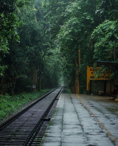 Natural Beauty Face, Train Wallpaper, Kerala Travel, Scenic Travel, Routine Tips, India Photography, Beautiful Scenery Pictures, Beauty Routine Tips, Scenery Photography