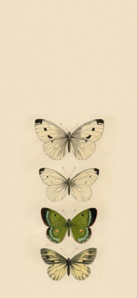 butterfly green beige wallpaper goblincore cottagecore lock screen Pale Yellow Background Aesthetic, Earthcore Wallpaper, Green Wallpaper Cottagecore, Earthy Home Screen, Green And Beige Aesthetic Wallpaper, Iphone Wallpaper Aesthetic Nature, Goblincore Wallpaper Iphone, Cottage Core Phone Wallpaper, Goblincore Background