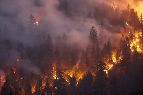 Northern California Wildfire Named 9th Most Destructive In State's History | HuffPost Fire Tornado, California Towns, Collateral Beauty, Wildland Firefighter, California Wildfires, California History, Forest Service, The Paradise, Forest Fire