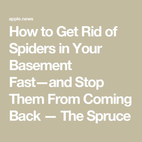 How to Get Rid of Spiders in Your Basement Fast—and Stop Them From Coming Back — The Spruce Keep Spiders Out Of Basement, How To Get Rid Of Spiders, How To Get Rid Of Spiders In The House, Get Rid Of Spiders, The Spruce, Itsy Bitsy Spider, Spiders, The Window, Love A