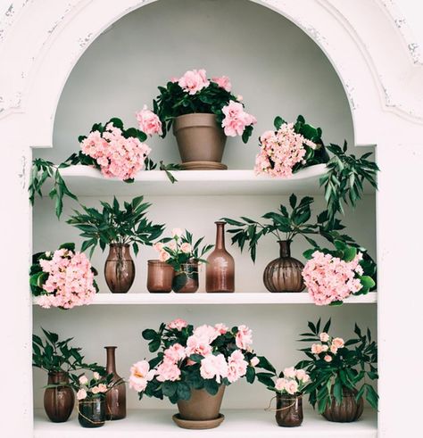 Outdoor Inspiration #threesistersjewelry #wearyourstory House Full Of Flowers, Wedding Showroom, Three Sisters Jewelry, Sisters Jewelry, White Shelves, Basque Country, Three Sisters, Outdoor Inspirations, Flowers Spring