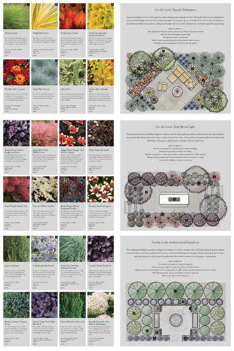 landscape design plans and colorful plant choices Croquis, Planting Design Plan, Free Landscape Design, Curb Appeal Garden, Garden Design Layout Landscaping, Landscape Architecture Drawing, Urban Landscape Design, Backyard Plants, Planting Plan