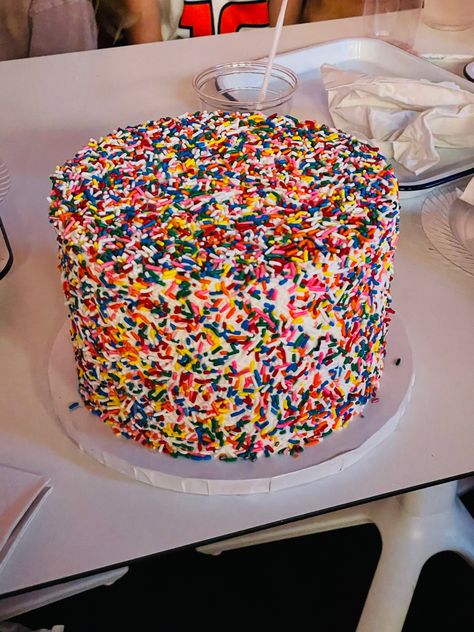 All Sprinkle Cake, Sprinkle Decorated Cake, Cute Cake Ideas Aesthetic, 21st Bday Cake, Sprinkles Birthday Cake, Sprinkles Cake, Candy Drinks, Birthday Inspo, Sprinkle Cake