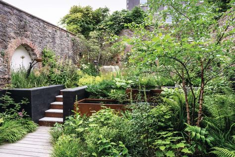 Lush, Japanese-style planting in a small garden in Bristol Japanese Plants, Home Garden Ideas, Japanese Style Garden, Small Japanese Garden, Dig Gardens, Garden Water Feature, Planting Plan, Sloped Garden, Coastal Gardens