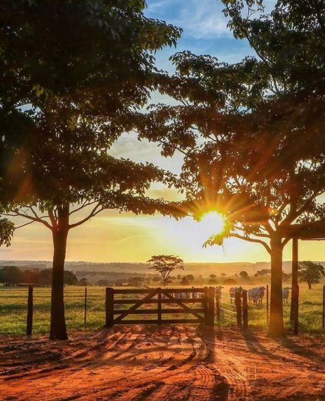 Farm Family Pictures, Sunrise Farm, Farm Images, Country Photography, Farm Lifestyle, Farm Photography, Country Scenes, Landscape Scenery, Nature Images