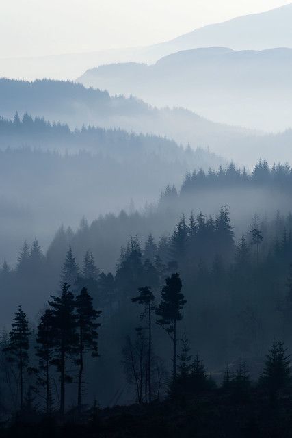 Shades | Another shot from my trip to the Dukes Pass, near A… | Flickr Foggy Mountains, Watercolor Paintings Easy, 수채화 그림, Easy Watercolor, Beginner Painting, Watercolor Inspiration, Drawing Tutorials, Watercolor Techniques, Watercolor Landscape