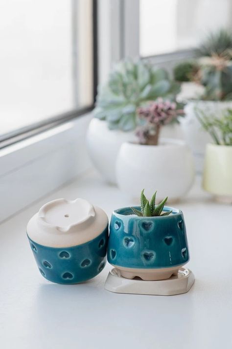 Pottery 101, Ceramic Things, Pottery Idea, Ceramic Succulent Pots, Let It Grow, Ceramic Succulent Planter, Ceramic Planter Pots, Ceramic Succulent, Clay Houses