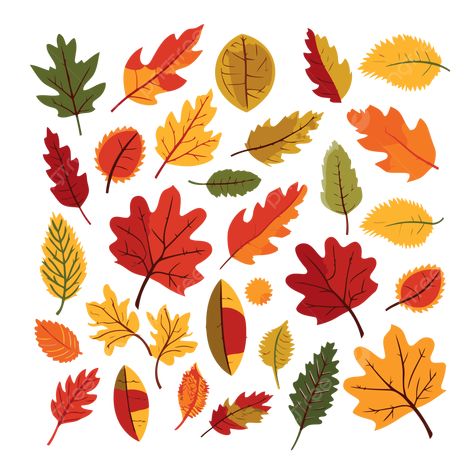 Autumn Leaves Clipart, Cartoon Leaves, Leaves Cartoon, Cartoon Leaf, Fall Leaf Decor, Leaves Clipart, Autumn Clipart, Leaf Clipart, Cartoon Png