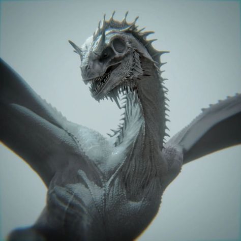 Realistic Fantasy Creatures, Grey Ghost Dragon, Wyvern Drawings, White Wyvern, Daena Targaryen, Visenya Targaryen, Realistic Dragon, Grey Ghost, Dragon Designs