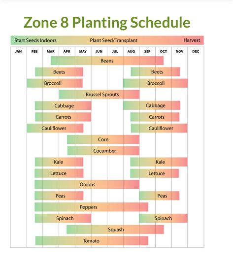 Planting schedule in hardiness zone 8a for Neah Bay, Washington/ Makah Indian Reservation Zone 8 Planting Schedule, Fall Vegetable Garden, Vegetable Planting Calendar, Planting Schedule, Neah Bay, Planting Calendar, Gardening Zones, Vegetable Garden Planning, Homestead Gardens