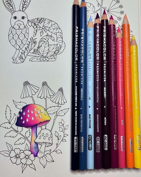 Jay Vale | Colorist and Illustrator | I got a little crazy with the colors 🤣. What do you guys think? I love how vibrant my Prismacolor pencils are. You can layer them so… | Instagram Colored Pencil Color Combinations, Color Pencil Color Combinations, How To Color With Pencils, Colored Pencil Inspiration, Prisma Color Combinations, Colouring Techniques Pencil, Prismacolor Tutorial, Prismacolor Blending, Polychromos Color Combinations