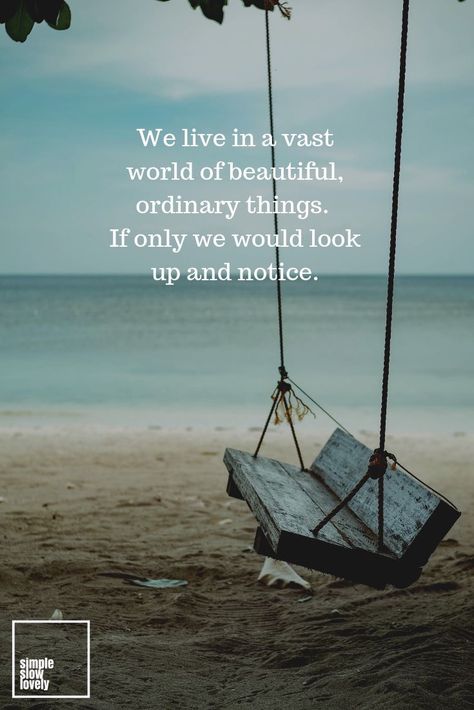 Keep life simple.... Old Times Quotes, Simple Life Quotes, Collateral Beauty, Stay Curious, Keep Life Simple, Times Quotes, Traveling Teacher, Ordinary Quotes, Practice Mindfulness