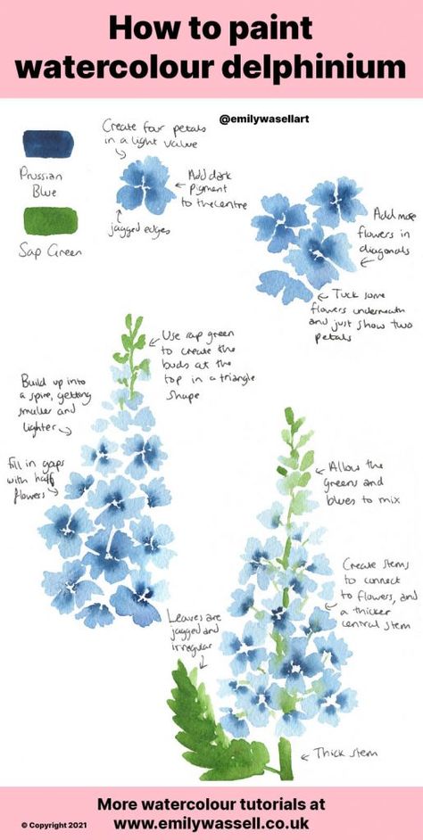 How To Draw Delphinium, Watercolour Delphiniums, Watercolour Inspiration Easy, Watercolour Art Ideas Inspiration, Delphinium Painting, Watercolor Flower Tutorial, Beginner Watercolour, Delphinium Flower, Watercolour Tutorial