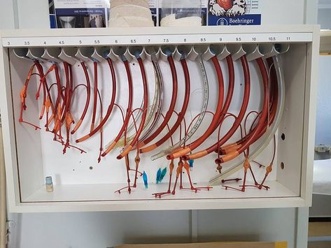 Et Tube Organization, Endotracheal Tube Storage, Veterinary Hospital Organization, Med Organization, Vet Clinic Organization, Veterinary Organization, Vet Clinic Design, Veterinary Storage, Veterinary Office