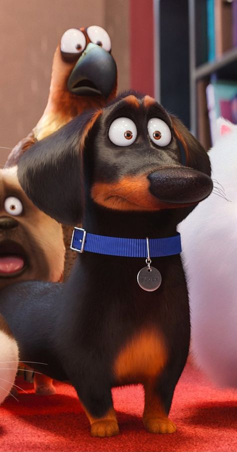 Buddy Secret Life Of Pets, Animation Art Illustration, Dachshund Wallpaper, Hannibal Buress, Dog Posters, Tara Strong, Pets Movie, Lake Bell, Jenny Slate