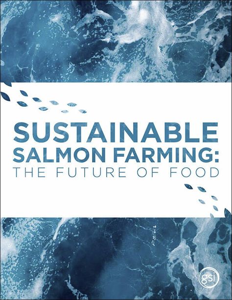 Pacific Salmon, Sustainable Food Systems, Salmon Farming, Atlantic Salmon, Fish Stock, Wild Salmon, Salmon Fish, Nutritious Diet, Marine Fish