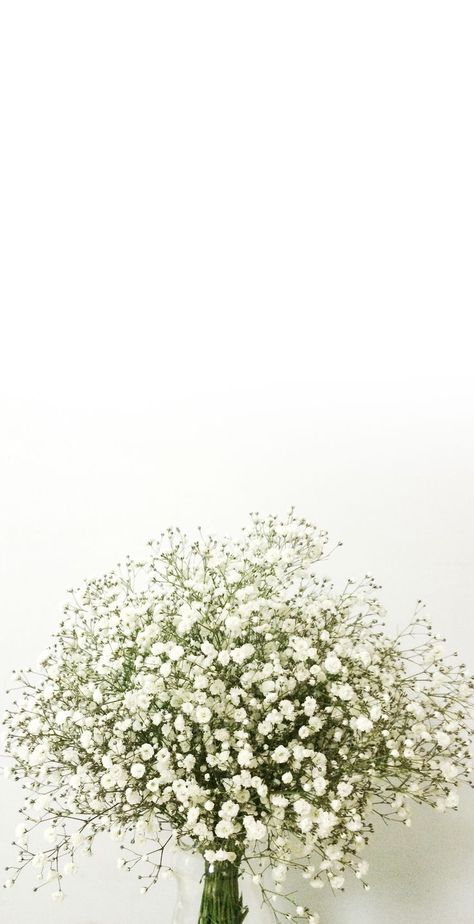 baby's breath, love U @mydeute | Floral wallpaper iphone, Flower wallpaper, Flower background wallpaper Babys Breath Aesthetic, Vintage Flower Backgrounds, Ombre Wallpaper Iphone, Pink Flowers Wallpaper, Floral Wallpaper Iphone, Vintage Flowers Wallpaper, Image Nature, Flower Iphone Wallpaper, Tapeta Pro Iphone