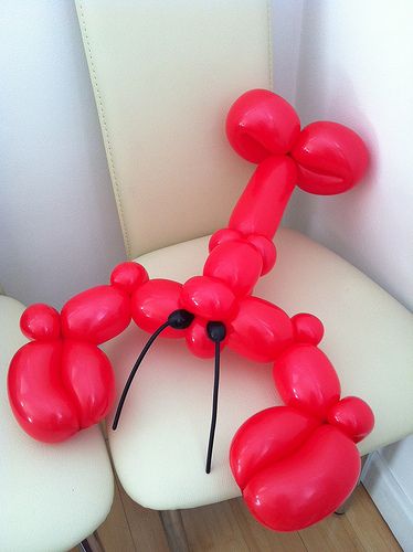 photo Balloon Animal Aesthetic, Ballon Animal Ideas, Cute Balloon Animals, Cool Balloon Ideas, Balloon Animal Ideas, Balloon Twisting Ideas, Ballon Animal, Baloon Art, Lobster Boil