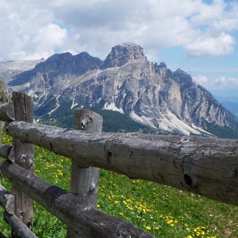 Alpe di Siusi passeggiate facili adatte a tutti Trekking, Travel Blogger, Blogger, Travel, Animals