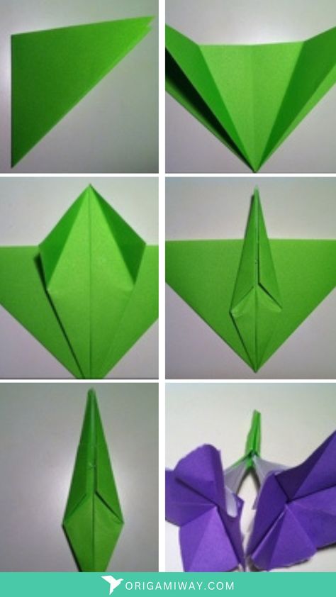 An green paper origami stem Origami Stem, Origami Hydrangea, Flowers With Stems, Two Flowers, Hydrangea Flowers, Flower Stem, Origami Flowers, Hydrangea Flower, Anime Comics