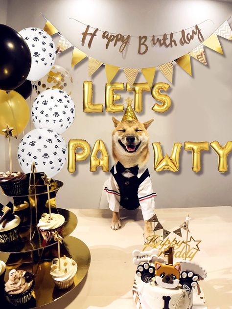 Legendog Dog Birthday Party Supplies Dog Paw Print Balloons Cat Birthday Hat Happy Birthday Banner Foil Balloons Lets Pawty Letters Balloons Decorations *** For more information, visit image link.-It is an affiliate link to Amazon. #dogcamerasandmonitors Dog Birthday Celebration, Dog Birthday Balloons, Dog Birthday Ideas Decorations, Dog Bday Party Ideas, Dog Birthday Decorations, Pet Birthday Party, Lets Pawty, Dog Party Decorations, Celebrating Birthday