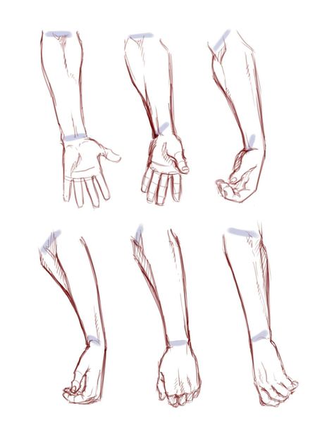 hasha92: “Forearm rotation ” Human Arm Drawing, Arm Anatomy, Arm Drawing, Drawing Lesson, Human Anatomy Drawing, Hand Drawing Reference, Human Anatomy Art, Human Drawing, Anatomy Sketches