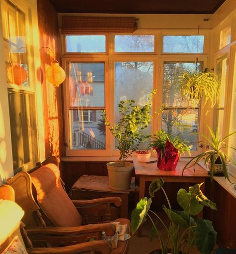 Golden Hour Interior, Golden Hour Lighting, Honey Aesthetic, Pink Fridge, Old Apartments, 수채화 그림, Room Interior Design, Room Aesthetic, Dream Home Design