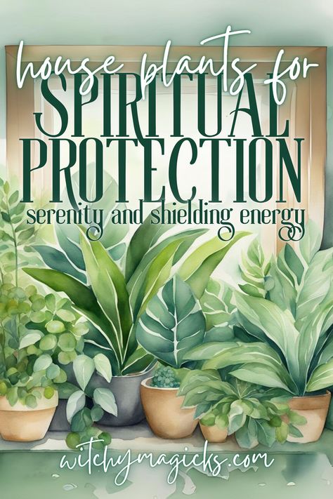 Discover the best house plants for spiritual protection and create a serene, shielded space. Learn how these botanical guardians can enhance your home’s energy, promote tranquility, and ward off negativity. Embrace the power of nature for a harmonious and protected environment.   #SpiritualProtection #HousePlants #EnergyShielding #WitchyHome #BotanicalGuardians #SerenityAtHome #ShieldingEnergy #Serenity #HousePlant #HerbalMagic #WitchyMagicks #Herbs Healing Plants Indoor, Green Witch House Plants, Witchy House Plants, Witchy Plants Aesthetic, Plants For Witchcraft, Protective Wards For Home, Plants For Good Energy, Spiritual Plants, Zen Plants