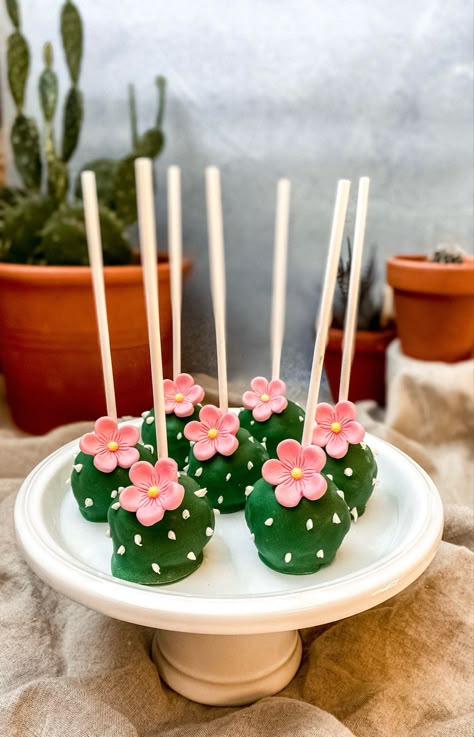 Plant Dessert Ideas, Succulent Themed Party Food, Cactus Gender Reveal Party, Mexican Themed Cake Pops, Succulent Cake Pops, Succulent Birthday Party, Cactus Dessert, Mexican Cake Pops, Mexican Theme Cakesicles