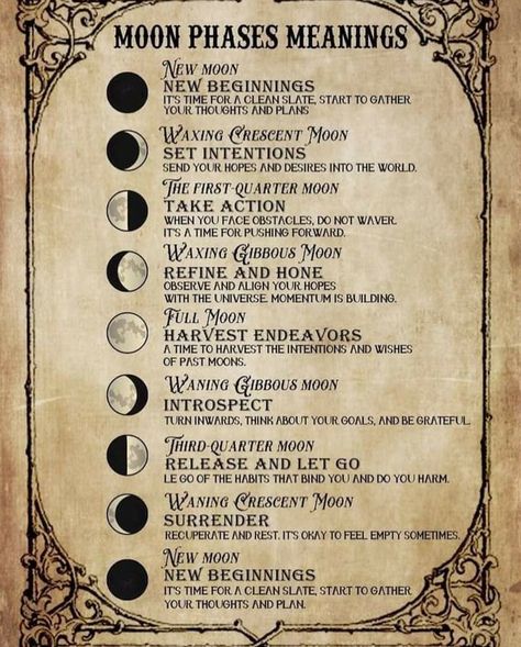 Different Types Of Spells, Moon Phases Meaning, Grimoire Ideas, Moon Rituals, Magia Das Ervas, Wiccan Magic, New Moon Rituals, Witch Spirituality, Grimoire Book