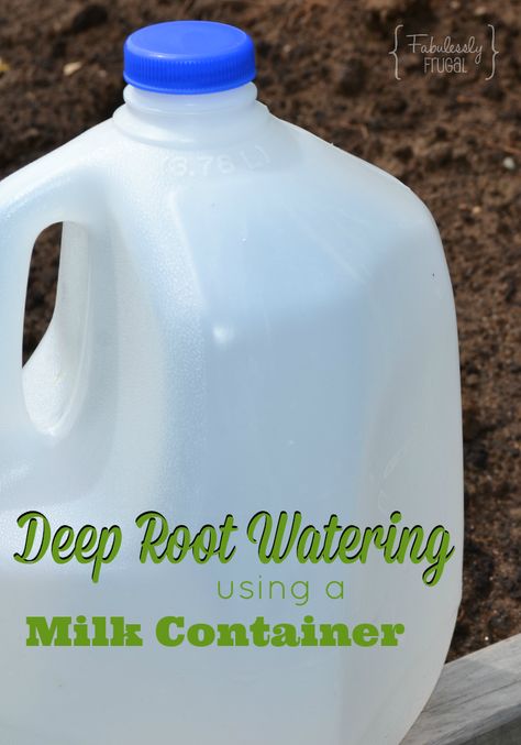 Deep Root Watering Diy, Slow Release Watering Diy, 5 Gallon Bucket Drip Irrigation, Garden Watering Hacks, Watering Hacks For Garden, Milk Jug Watering System, Garden Watering Ideas, Watering Garden Ideas, Plant Watering Hacks