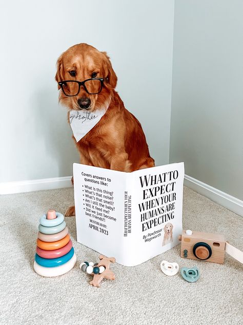 #dog babyannouncement #baby #goldenretriever #puppy Dog Wedding Announcement, Second Dog Announcement, Dog Puppy Announcement, Promoted From Dog Grandparent, Dog Themed Gender Reveal, Dog Baby Announcing Ideas, Dog Announcement Pregnancy, Dog Big Brother Announcement, Pet Baby Announcement